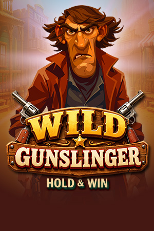 Wild Gunslinger