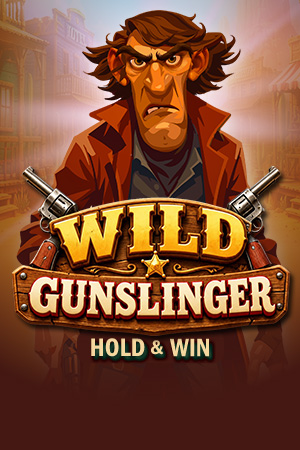 Wild Gunslinger
